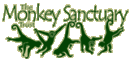 The Monkey Sanctuary